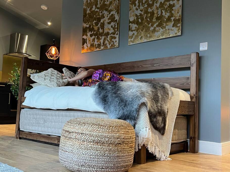 Luxury Lodge In The Treetops Llanbrynmair Εξωτερικό φωτογραφία