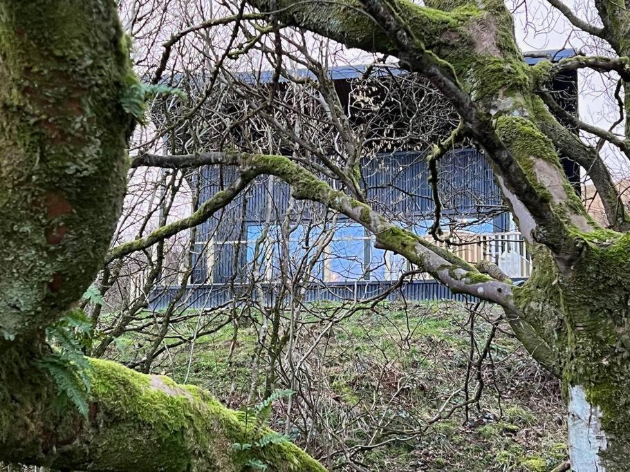 Luxury Lodge In The Treetops Llanbrynmair Εξωτερικό φωτογραφία